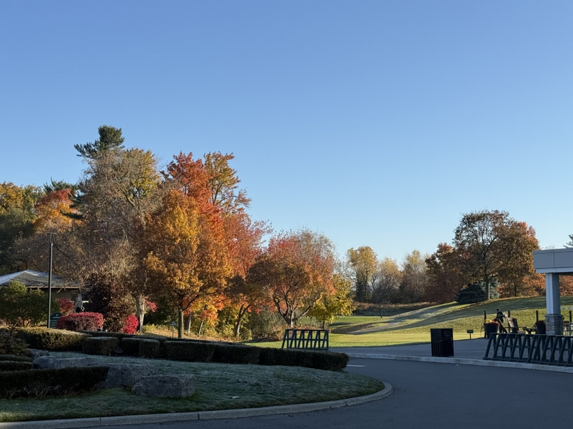 Khung cảnh thanh bình ngoại ô Toronto vào một ngày hửng nắng.